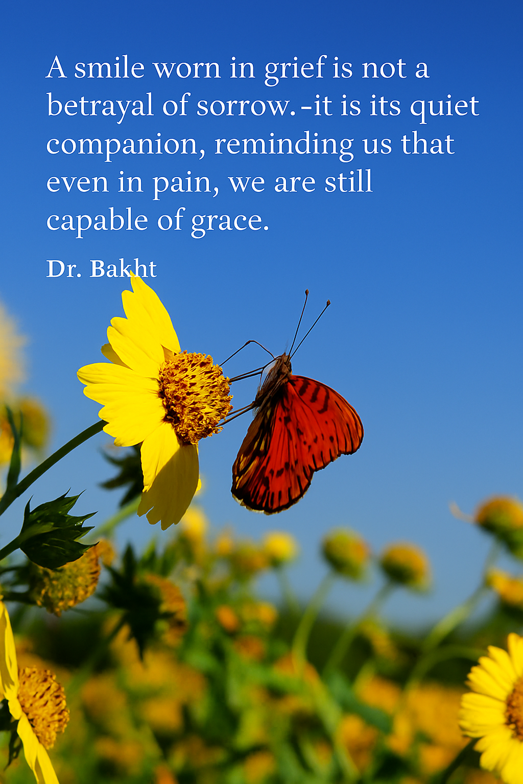 A vivid outdoor scene featuring a red-orange butterfly with black markings perched delicately on a bright yellow flower. The butterfly’s wings are partially open, revealing intricate patterns. Surrounding it is a field of similar yellow flowers with green stems, set against a clear blue sky. Superimposed in white serif font is a quote by Dr. Bakht: “A smile worn in grief is not a betrayal of sorrow—it is its quiet companion, reminding us that even in pain, we are still capable of grace.”
