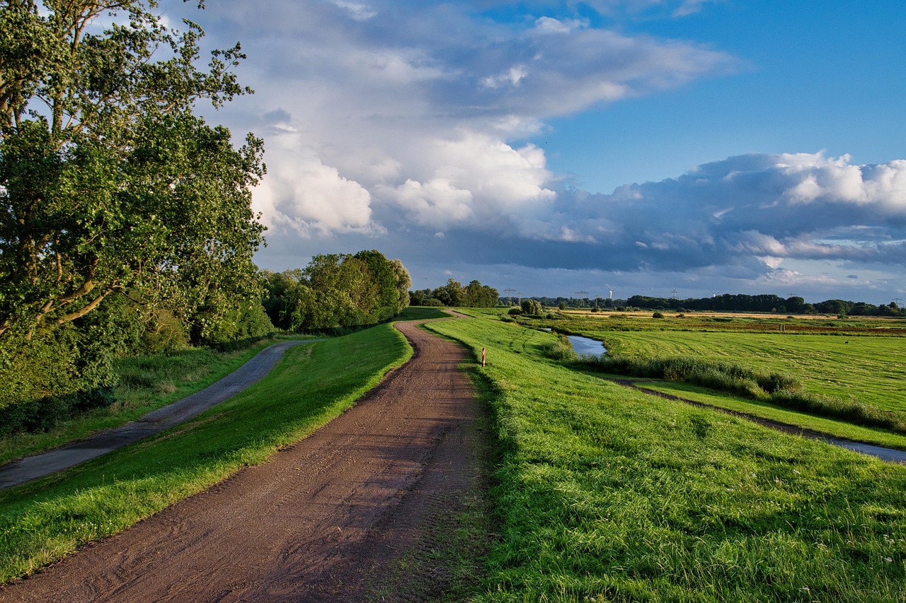 Winding path through green fields symbolizing quiet power in friendship—emotional boundaries, gentle strength, and the journey of connection.